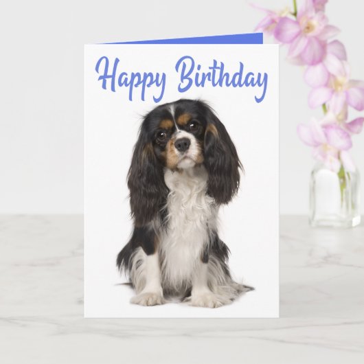 Cute Dog King Charles Cavalier Spaniel Birthday カード (蘭)