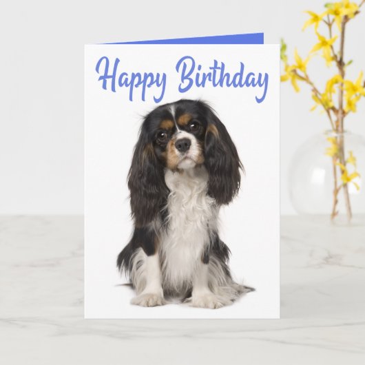 Cute Dog King Charles Cavalier Spaniel Birthday カード (黄色い花)