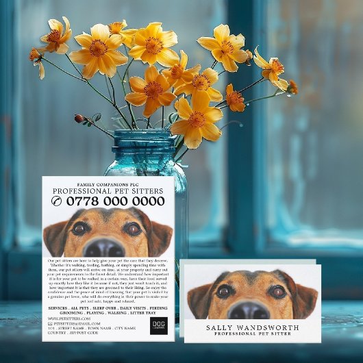 Cute Dog, Pet Sitting Service Advertising チラシ