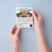 Cute Dog, Pet Sitting Service Advertising チラシ (手)