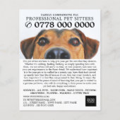 Cute Dog, Pet Sitting Service Advertising チラシ (正面)