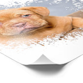 Cute Dog Wall Art Canvas – Modern Pet Photography フォトプリント (角)