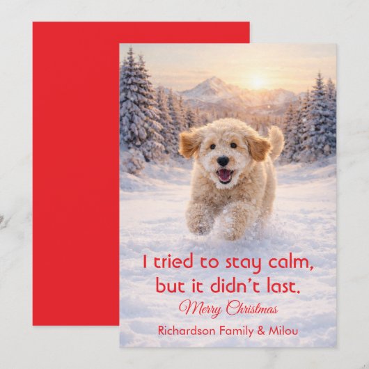 Cute Dog with Christmas Funny Quote | Holiday Card シーズンカード (正面/裏面)