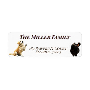 Cute dogs and cats look up Personalized ラベル
