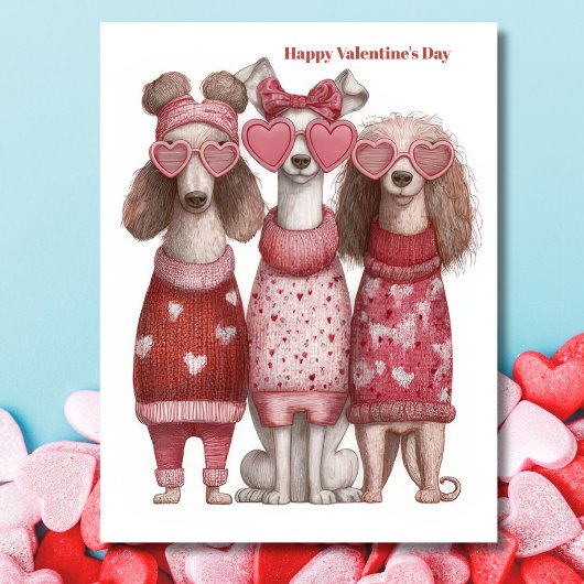 Cute Dogs Hearts Pullover Valentine`s Day Card  ポストカード