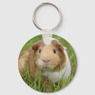 Cute Domestic Guinea Pig キーホルダー
