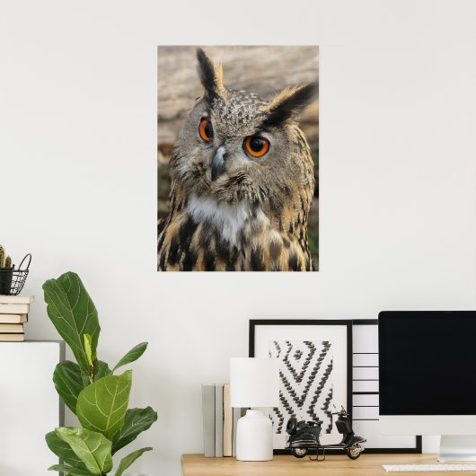 Cute eagle owl ポスター (ホームオフィス)