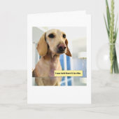 Cute Eating Dachshund カード (正面)