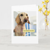 Cute Eating Dachshund カード (黄色い花)