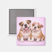 Cute English Bulldog Couple Valentine Illustration マグネット (正面/裏面)