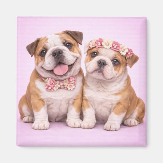 Cute English Bulldog Couple Valentine Illustration マグネット (正面)