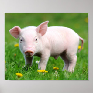 Cute Farm Living Barn Pink Piglet ポスター