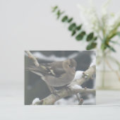Cute Finch in Snow DIY Postcard シーズンポストカード (スタンド正面)