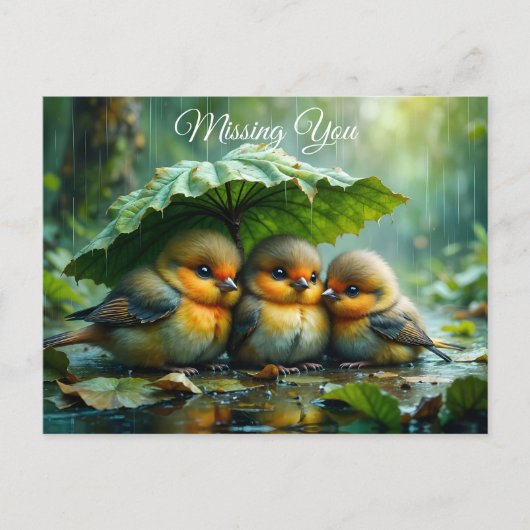 Cute fluffy birds in rain *Missing You* ポストカード (正面)