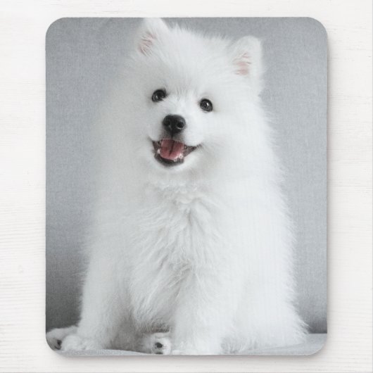 Cute Fluffy Japanese Spitz Puppy マウスパッド (正面)