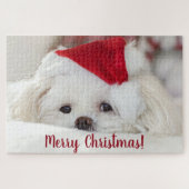 Cute Fluffy White Maltese Puppy Dog in a Santa Hat ジグソーパズル (横)