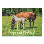 Cute Foal Horse Animals Custom Happy 1st Birthday (正面横)