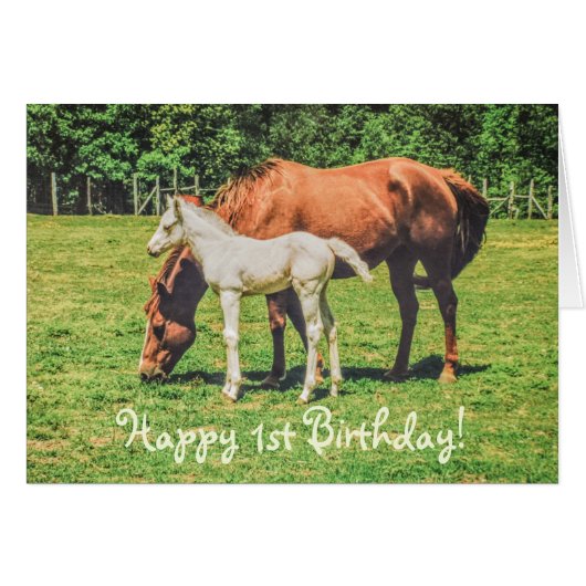 Cute Foal Horse Animals Custom Happy 1st Birthday (正面横)
