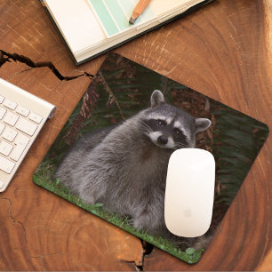 Cute Forest Raccoon Wildlife Photo マウスパッド