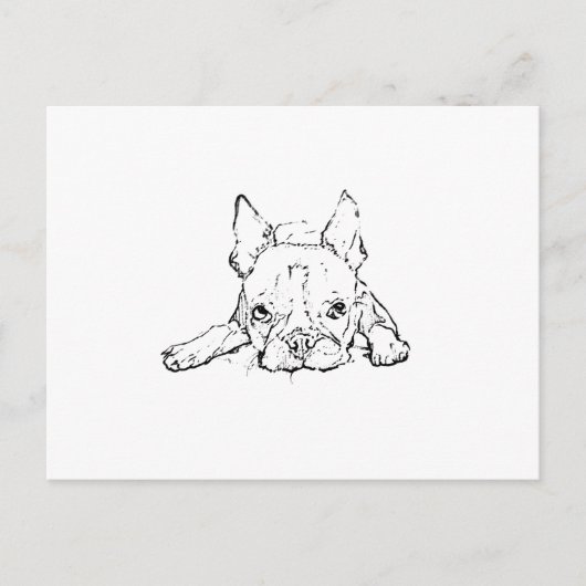 Cute French Bulldog, Personalised Postcard ポストカード (正面)