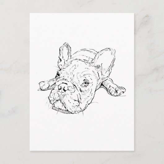Cute French Bulldog Postcard ポストカード (正面)