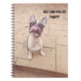 Cute French Bulldog puppy journal notebook  ノートブック