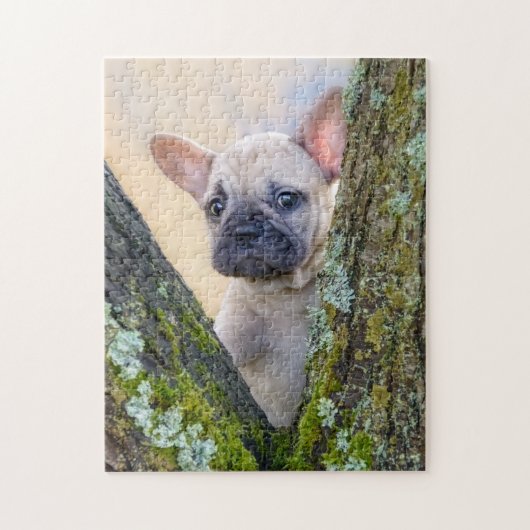 Cute French Bulldog Puppy Posing in a Branch Fork ジグソーパズル (縦)