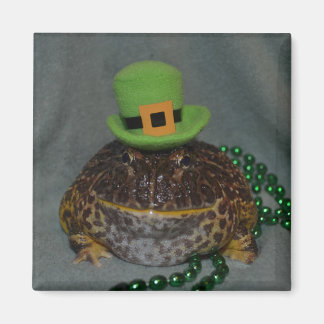 Cute Frog マグネット