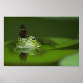 Cute frog with a Butterfly on his nose ポスター (正面)