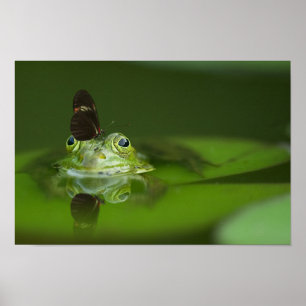 Cute frog with a Butterfly on his nose ポスター