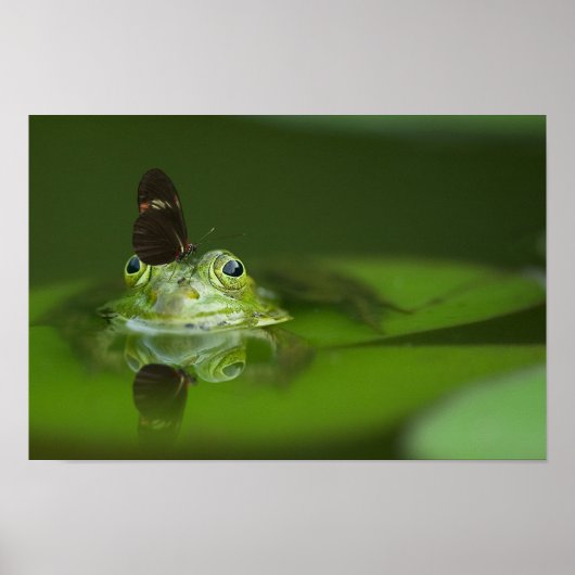 Cute frog with a Butterfly on his nose ポスター (正面)