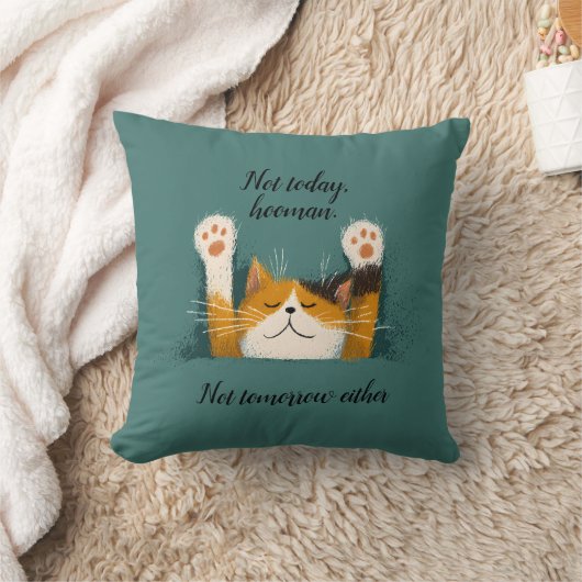 Cute Funny Cat Nap クッション (ブランケット)