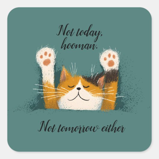 Cute Funny Cat Nap スクエアシール (正面)