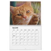 Cute Furry Friends Cat Calendar カレンダー (3月 2026)