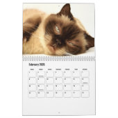 Cute Furry Friends Cat Calendar カレンダー (2月 2026)