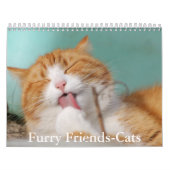 Cute Furry Friends Cat Calendar カレンダー (カバー)