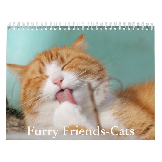 Cute Furry Friends Cat Calendar カレンダー (カバー)