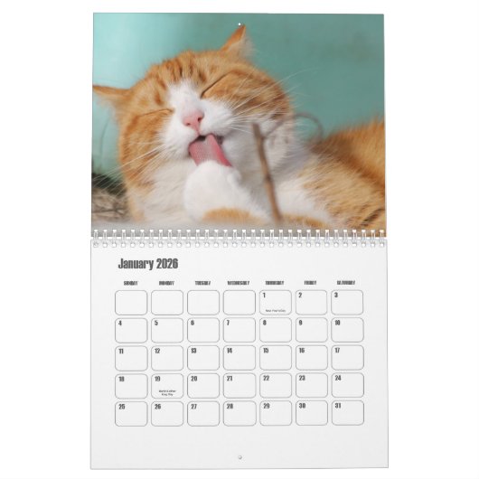 Cute Furry Friends Cat Calendar カレンダー (1月 2026)