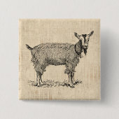 Cute Goat with Bell Illustration Antique Script 缶バッジ (正面)