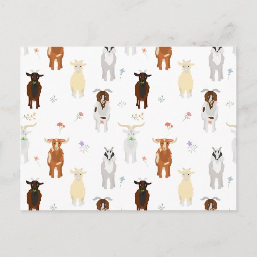 Cute Goats Farm Animals シーズンポストカード (正面)