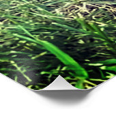 Cute Golden Doodle ポスター (コーナー)