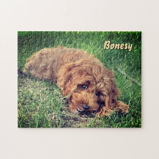 Cute Golden Doodle 11x14 Puzzle ジグソーパズル (横)