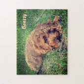 Cute Golden Doodle 11x14 Puzzle ジグソーパズル (縦)