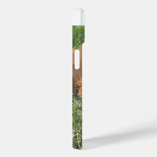 Cute Golden Doodle Case-Mate iPhoneケース (裏面 / 右)