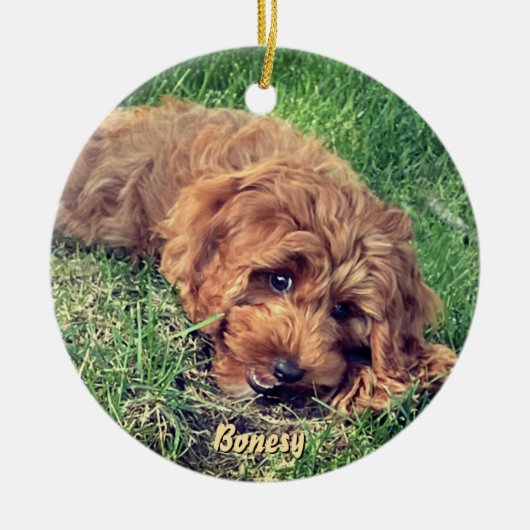 Cute Golden Doodle Ceramic Ornament セラミックオーナメント (正面)