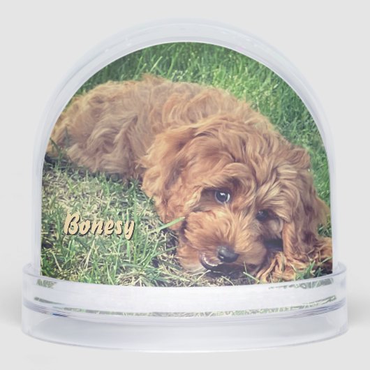 Cute Golden Doodle Snow Globe (正面)