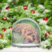 Cute Golden Doodle Snow Globe (クリスマス)