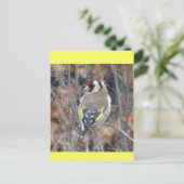 Cute Goldfinch DIY Postcard ポストカード (スタンド正面)