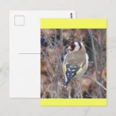 Cute Goldfinch DIY Postcard ポストカード (正面/裏面)
