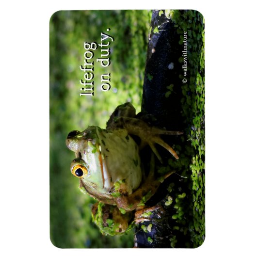 Cute Green Frog Strikes a Pose on the Hose マグネット (縦)